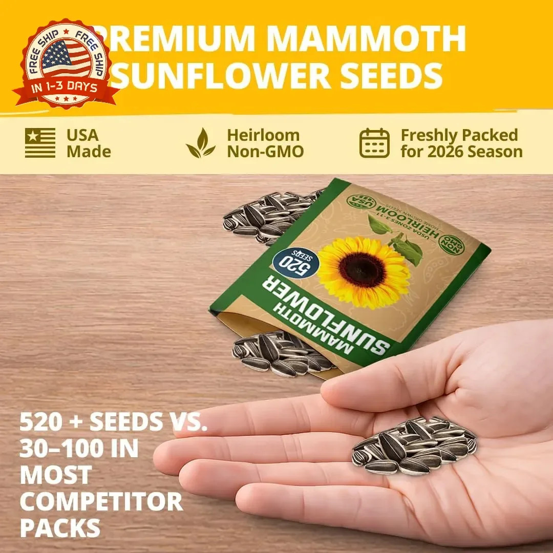Giant Mammoth Sunflower Seeds for Planting 520+ Heirloom High Germination for Ga