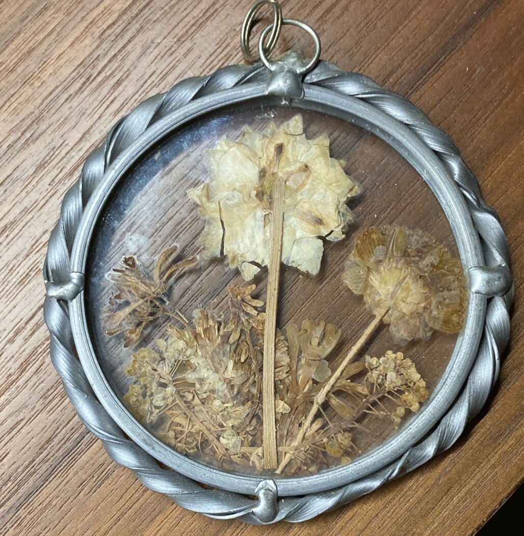 Vintage Real Dried Pressed Flowers In Glass W/ Metal Frame Lead