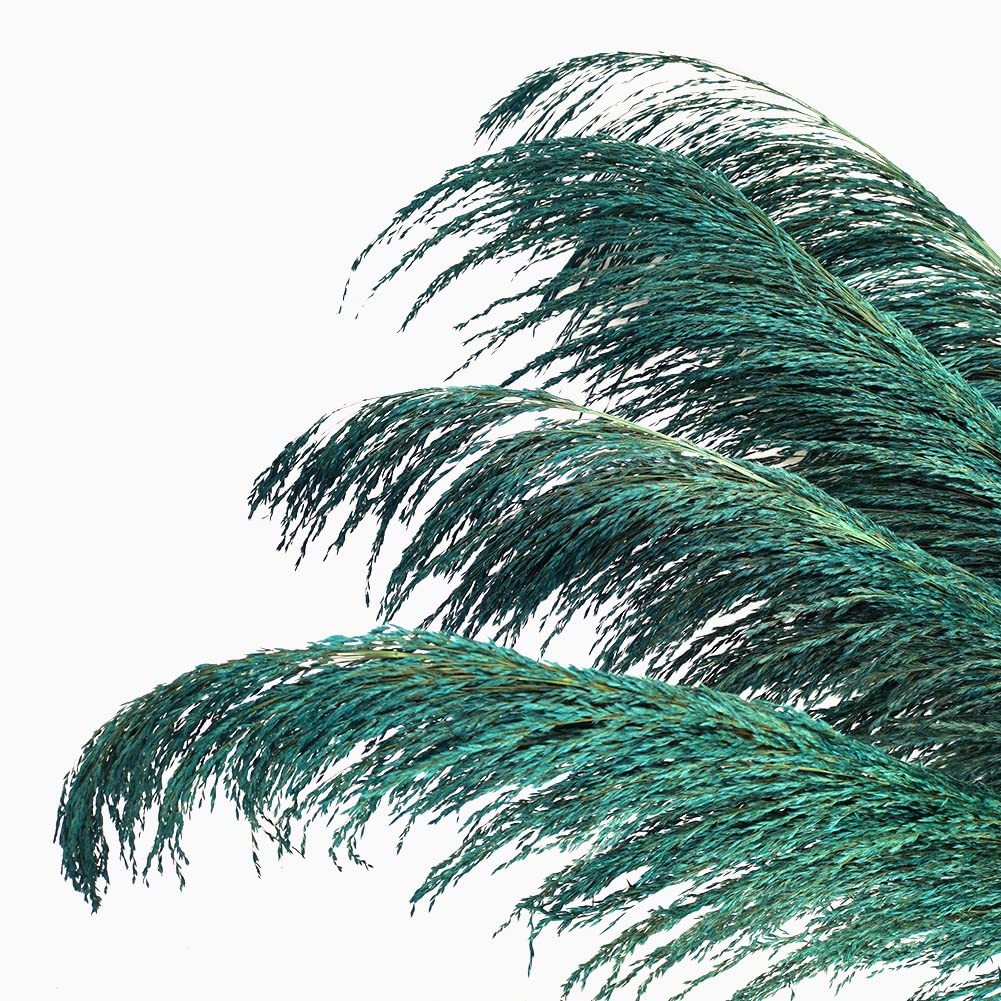 4 PCS 43.3″ Teal Tall Pampas Grass Decor Natural Dried Blue Pompas Floral