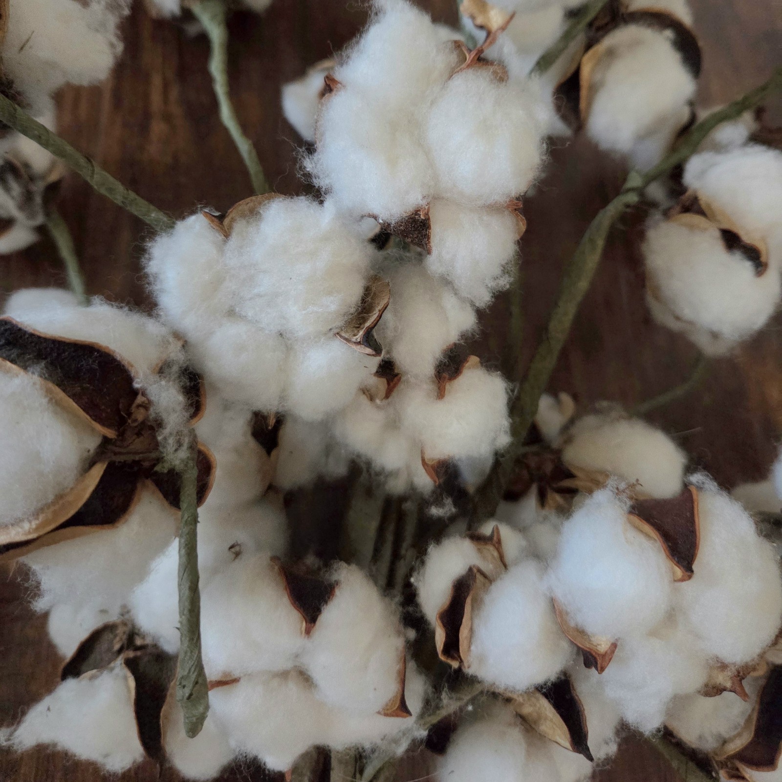 Set of 2 COTTON BOLL FLORAL SPRAY Stem Fall Farmhouse Decor Artificial @ 19″ h