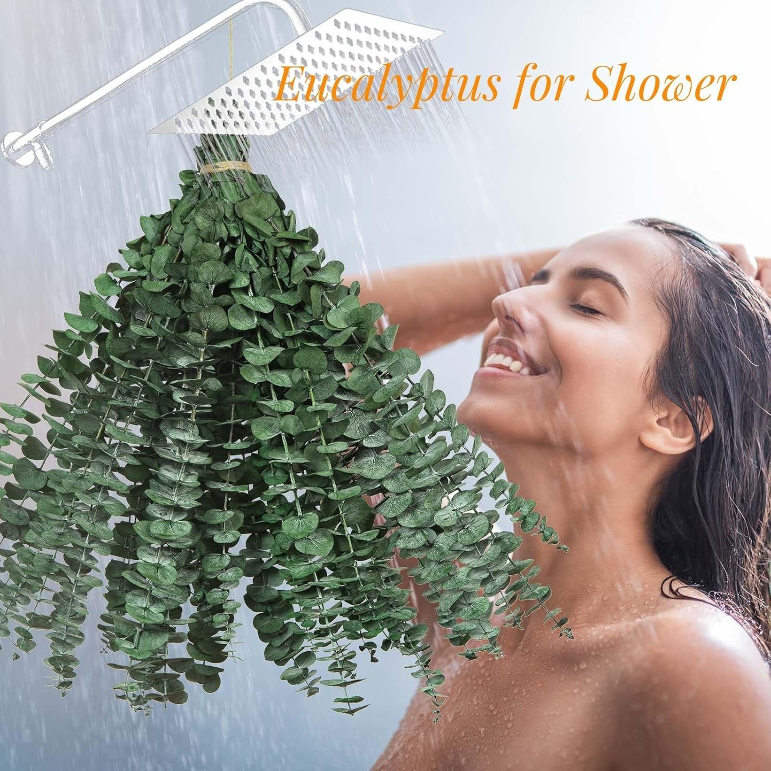 Natural Preserved Eucalyptus Stems – Serenity for Showers & Occasions