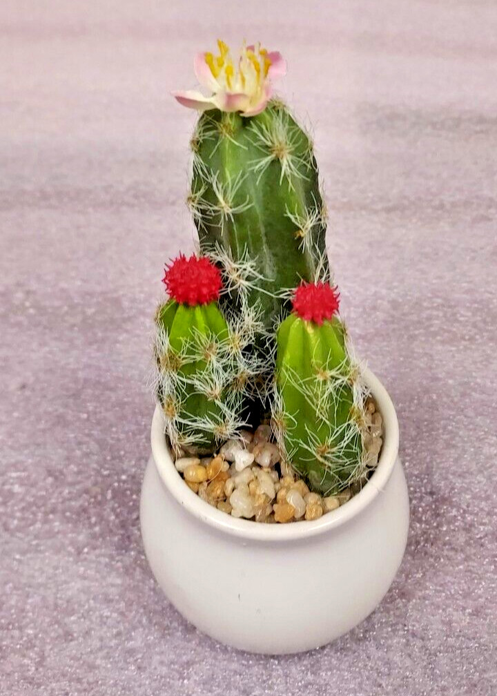 ARTIFICIAL CACTUS RED, PINK, YELLOW FLOWERS IN WHITE CERAMIC ROUND POT 7″