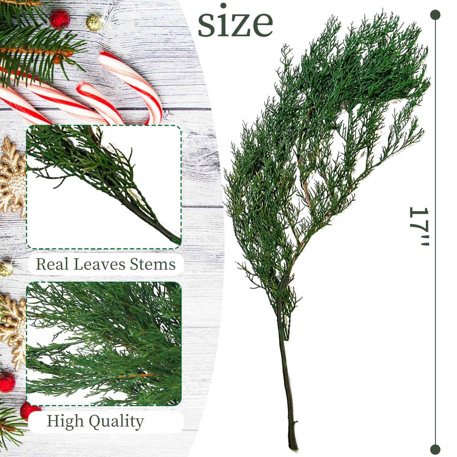 4OZ Preserved Real Pine Leaves Branches -17” Natural Greenery Plants Twigs S…