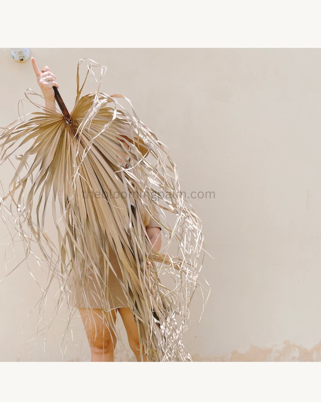 1 Pc Jumbo XL Dried Palm Leaf Party & Home & Wedding Decor 4ft From Stem To Leaf
