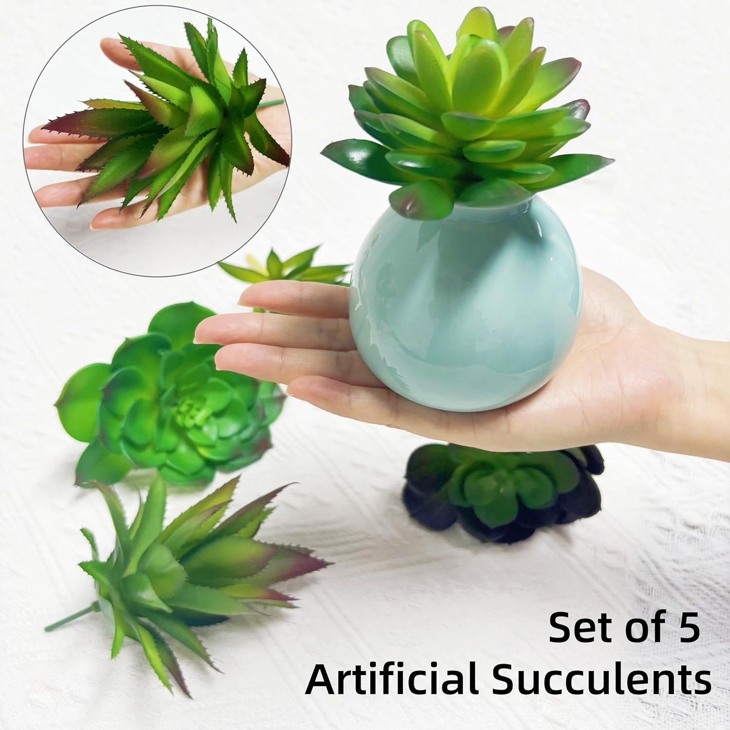 5-Piece Artificial Succulent Set – Perfect for Home, Office, and Events
