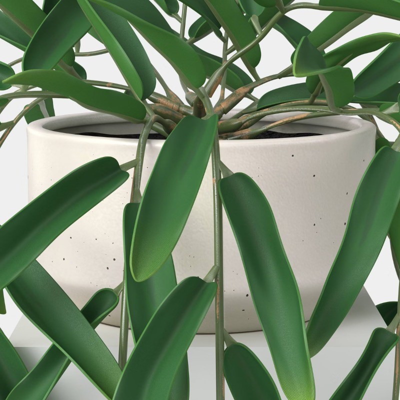 Trailing Leaf Plant Container Material: Stoneware