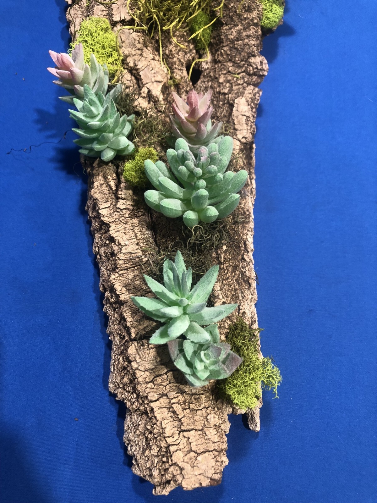 Artificial Succulent Air Plant Wall Art Home Office Mounted on Real Wood Bark