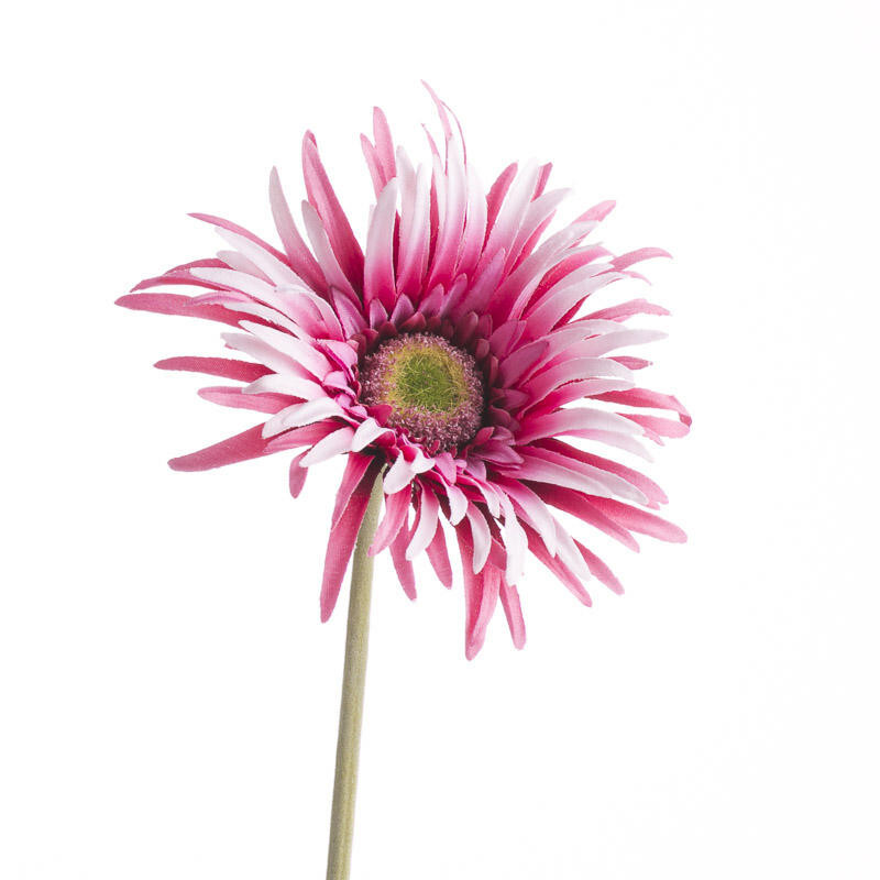 Package of 6 Pink Artificial Gerbera Spider Daisy 25″ Stems