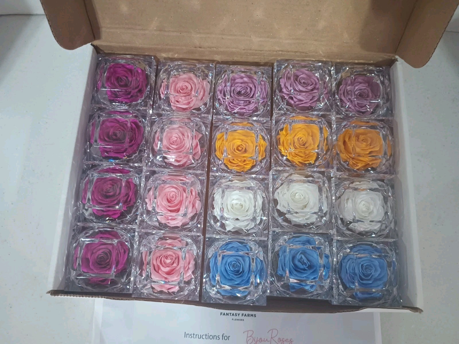 Fantasy Farms Flowers Display Set Of 20 Bijou Roses