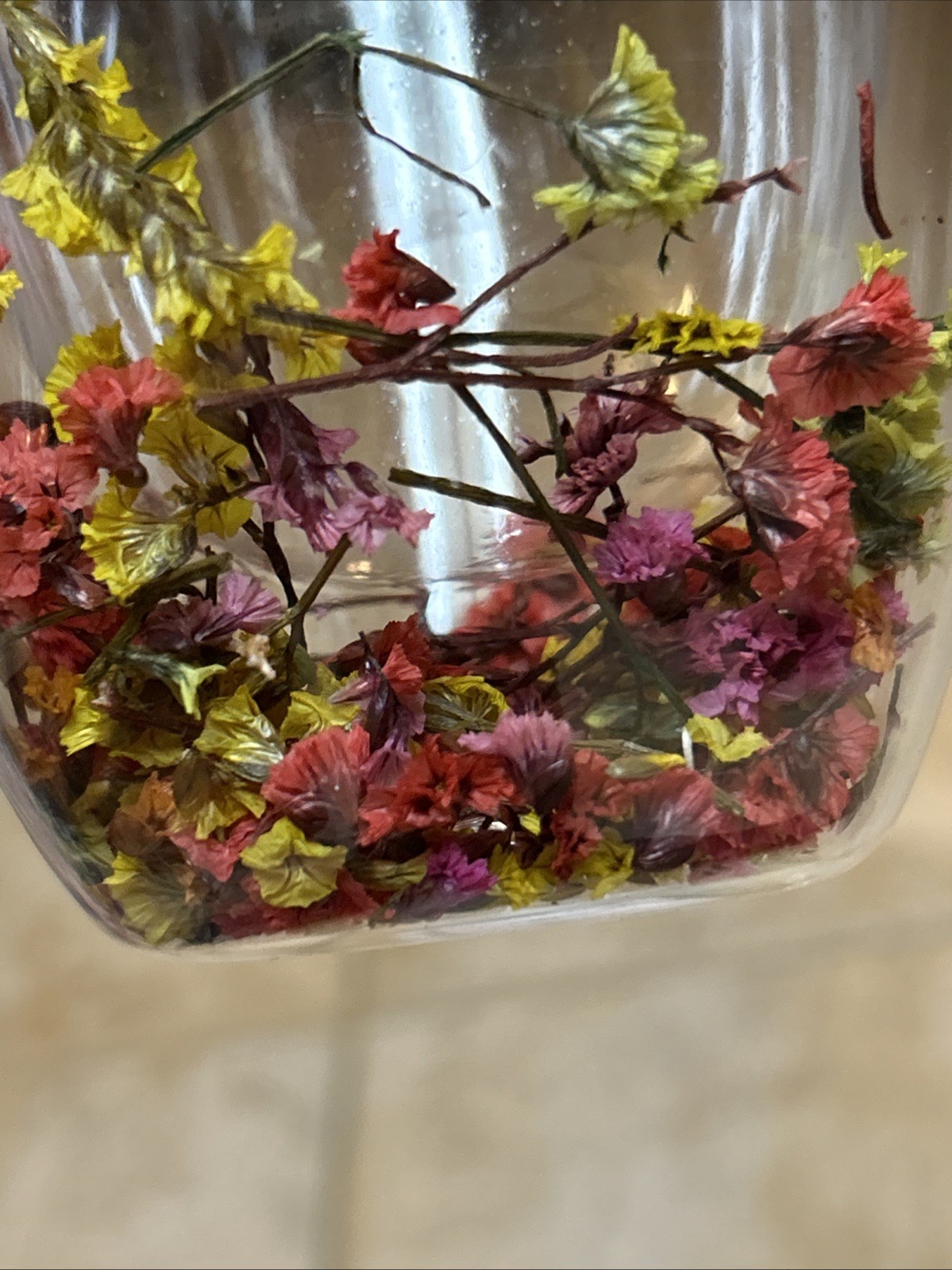 Floral Fusion Plastic Mug Double Wall Clear Coffee Tea Cup Botanical Dry Flower