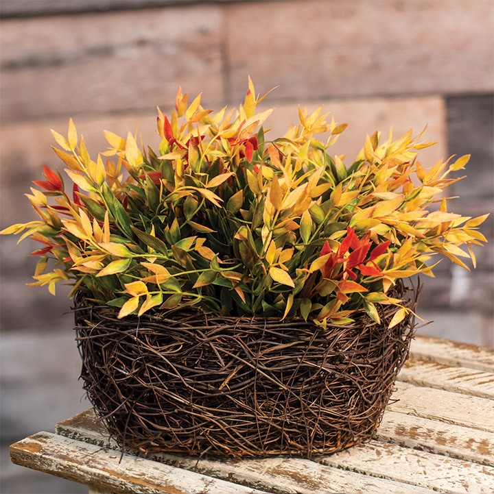 Red and Green Velvet Ash Half Sphere 11″ Diameter Autumn Fall Greener