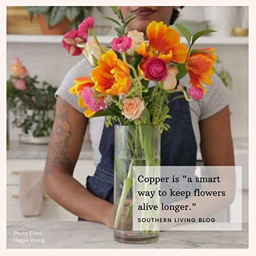 Flower Food Substitute for Fresh Cut Flowers | Keeps Water Clean & Clear | 2 Pac