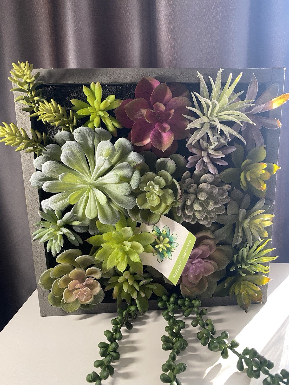 WALL OF FAUX SUCCULENTS in Gray Wood Box Decor Display 12x11x3 inches Art
