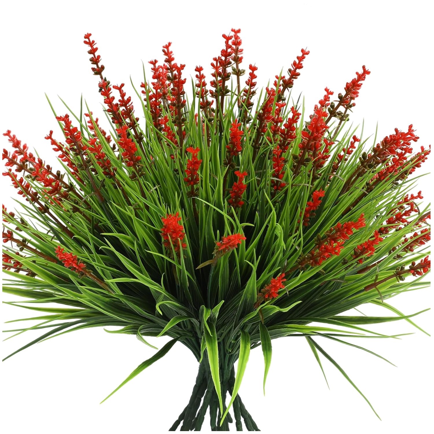 Vibrant Red Flower Grass for Yard Front Porch – 12 Bundles