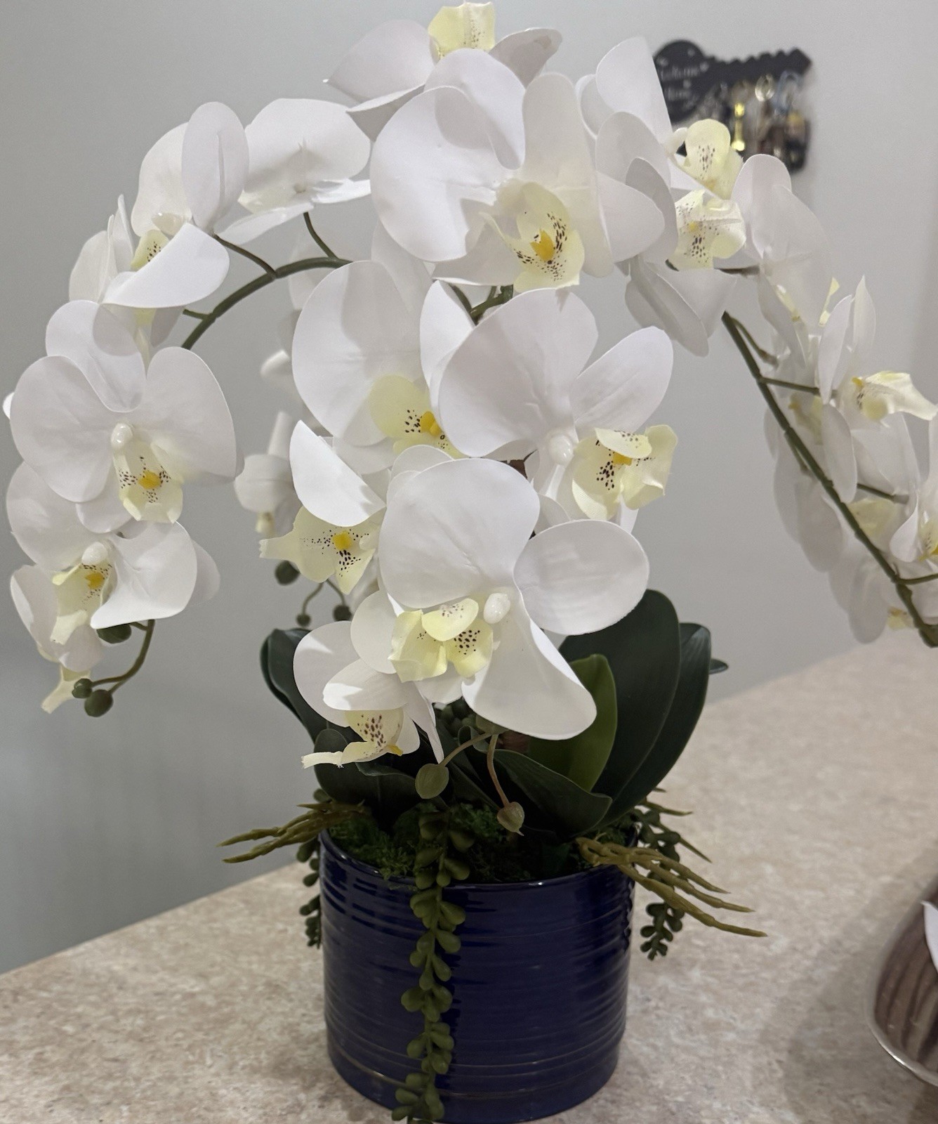 Artificial White Orchid Floral Arrangement in Blue Pot or Vase