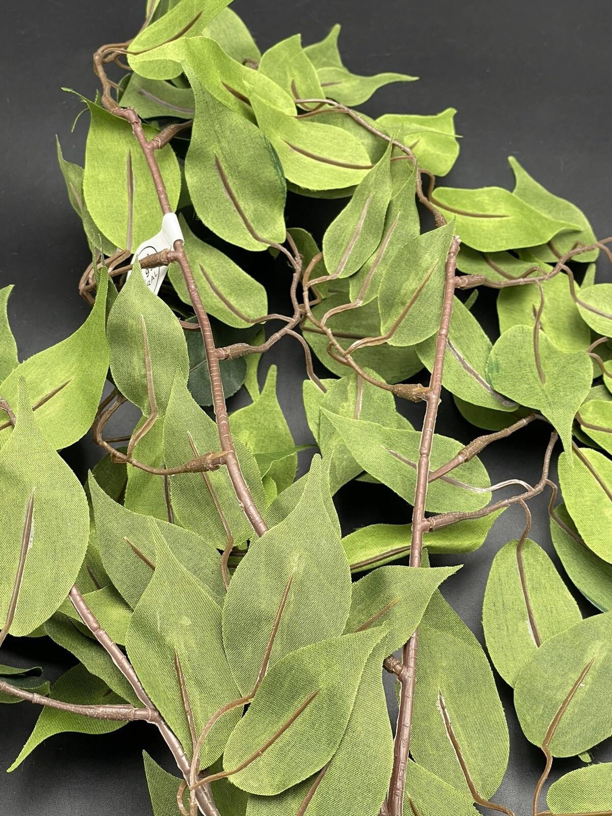 Ficus Branch Floral Stem Hobby Lobby 26″ x 15″ 738690