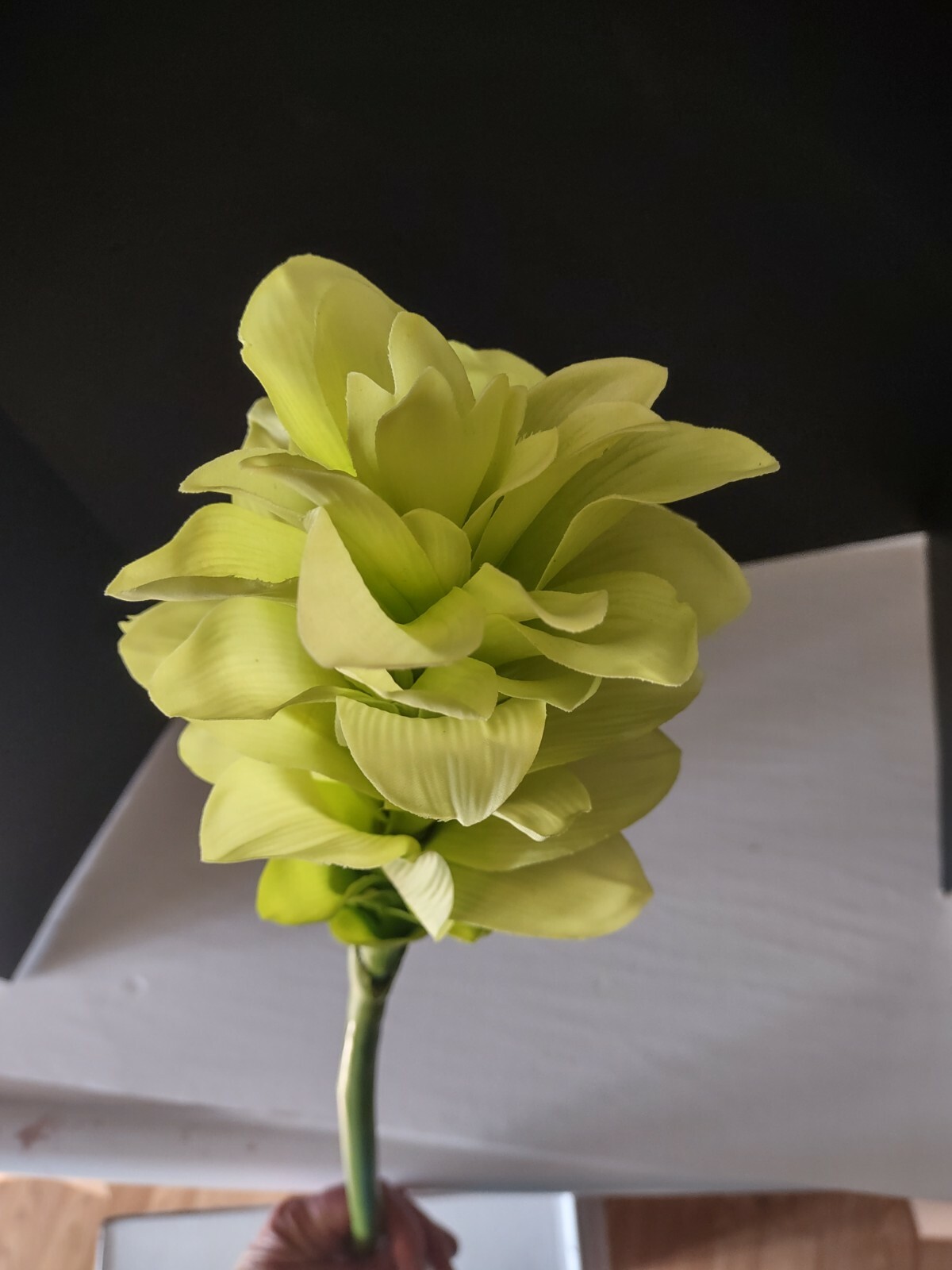 Ginger lily stem. Silk arrangements tropical Hawaiian flowers Lime Green