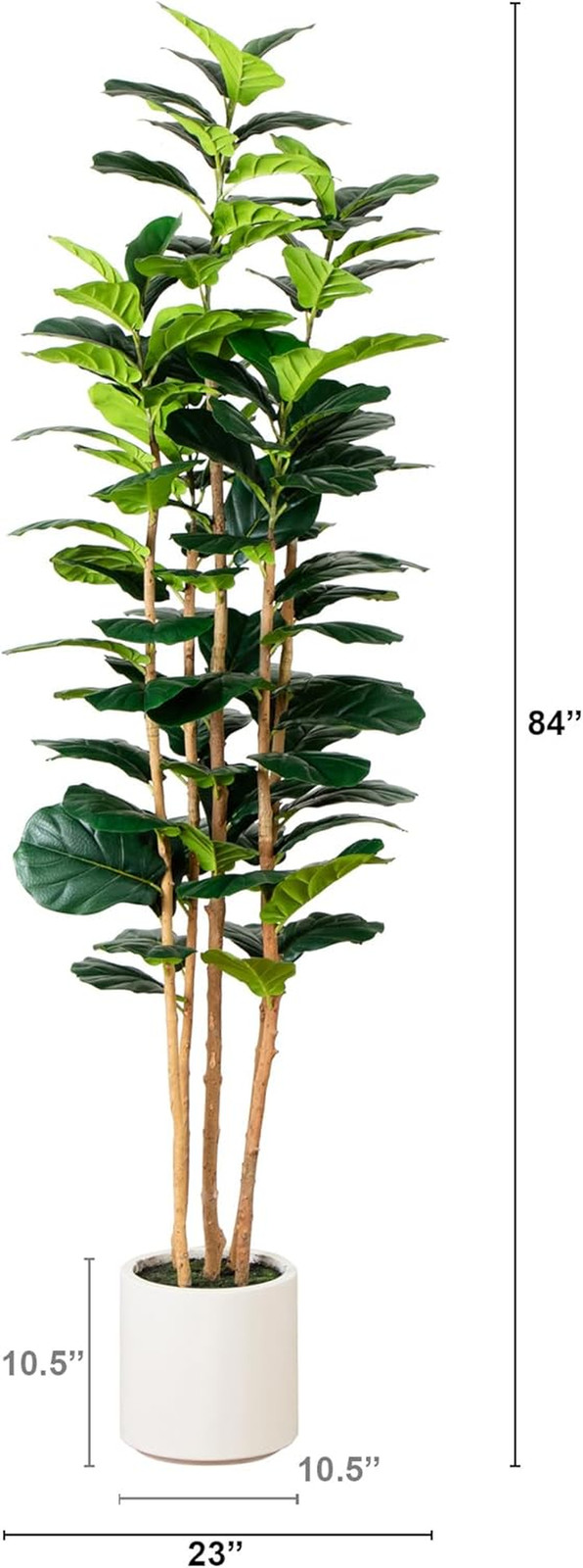7Ft Artificial Fiddle Leaf Tree in Stylish White Planter –