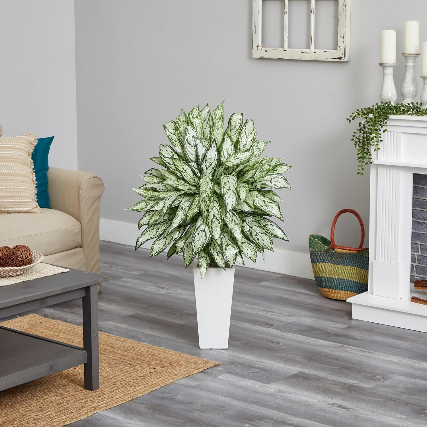 Elegant Silver Queen Plant in Chic White Tower Planter