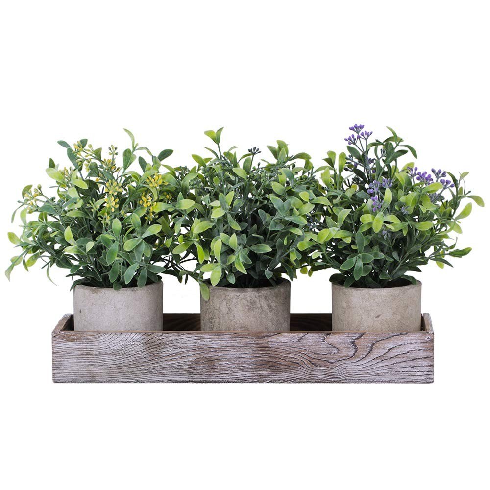 Mini Artificial Potted Plants Seeded Boxwood Greenery Wood Planter 3 Set