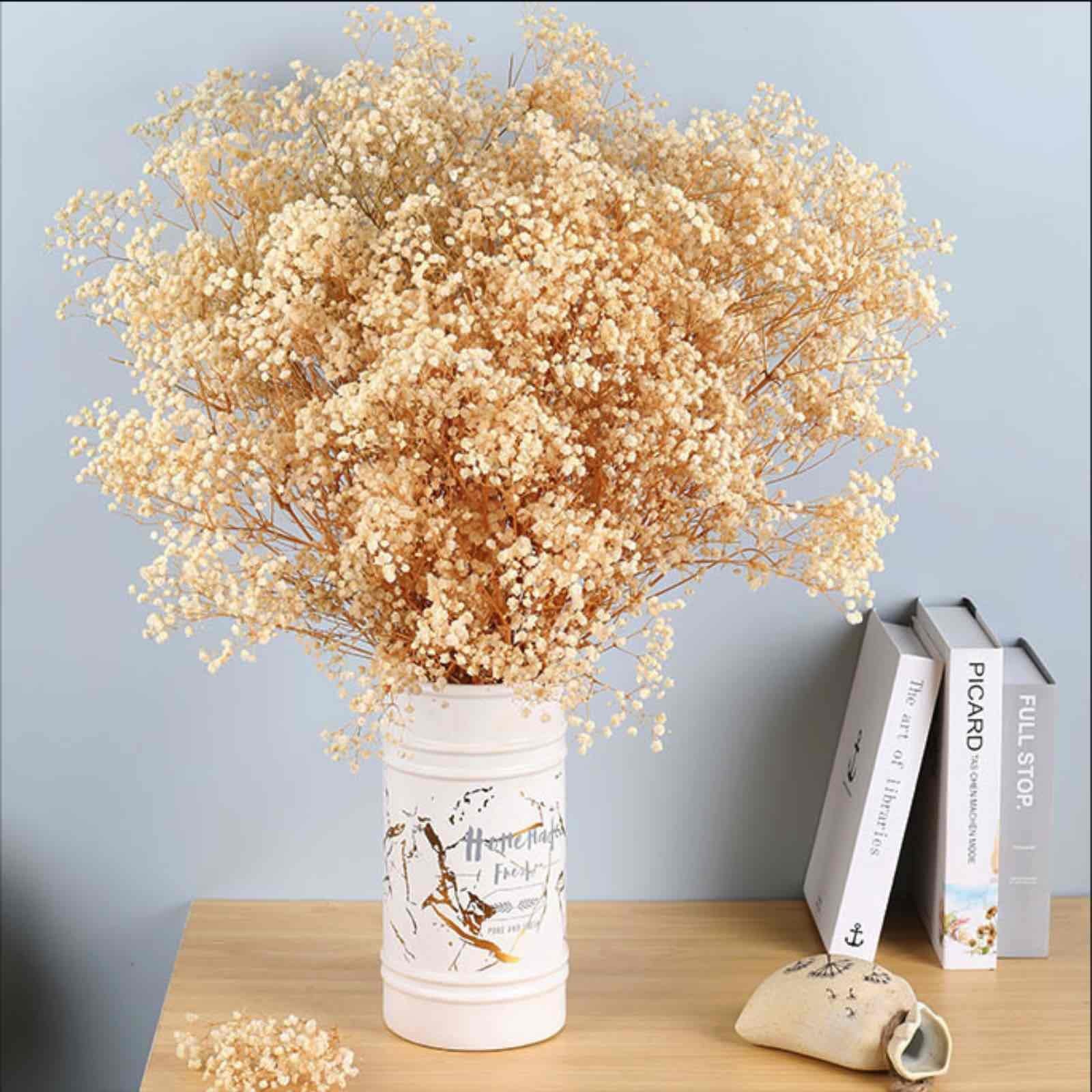 Dried Babys Breath Flowers Bouquet 17 Inch 5000+ Ivory White DIY Decor 6oz