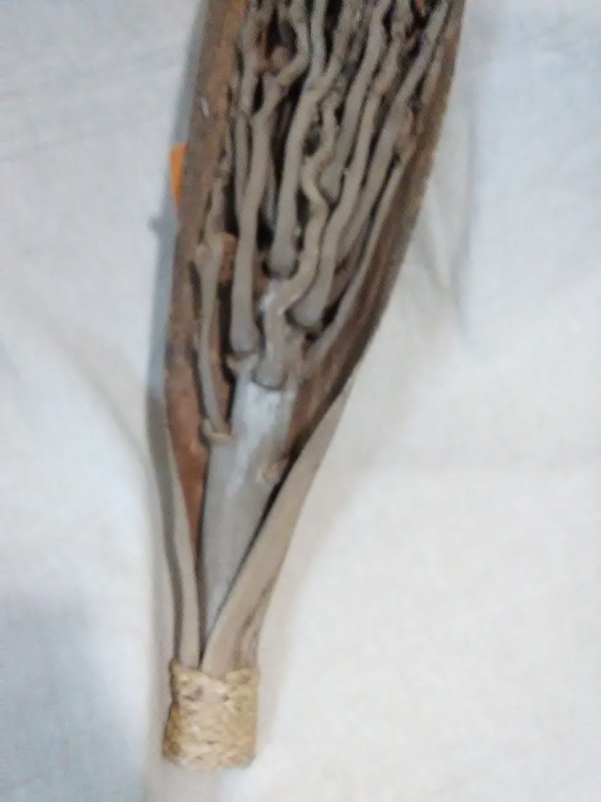 Dried coconut flower bundle decor table/wall accent
