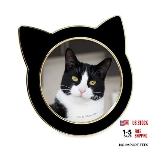 Round Enamel Cat Picture Frame w/Ears – Tabletop, Home & 4×4 Black with Gold