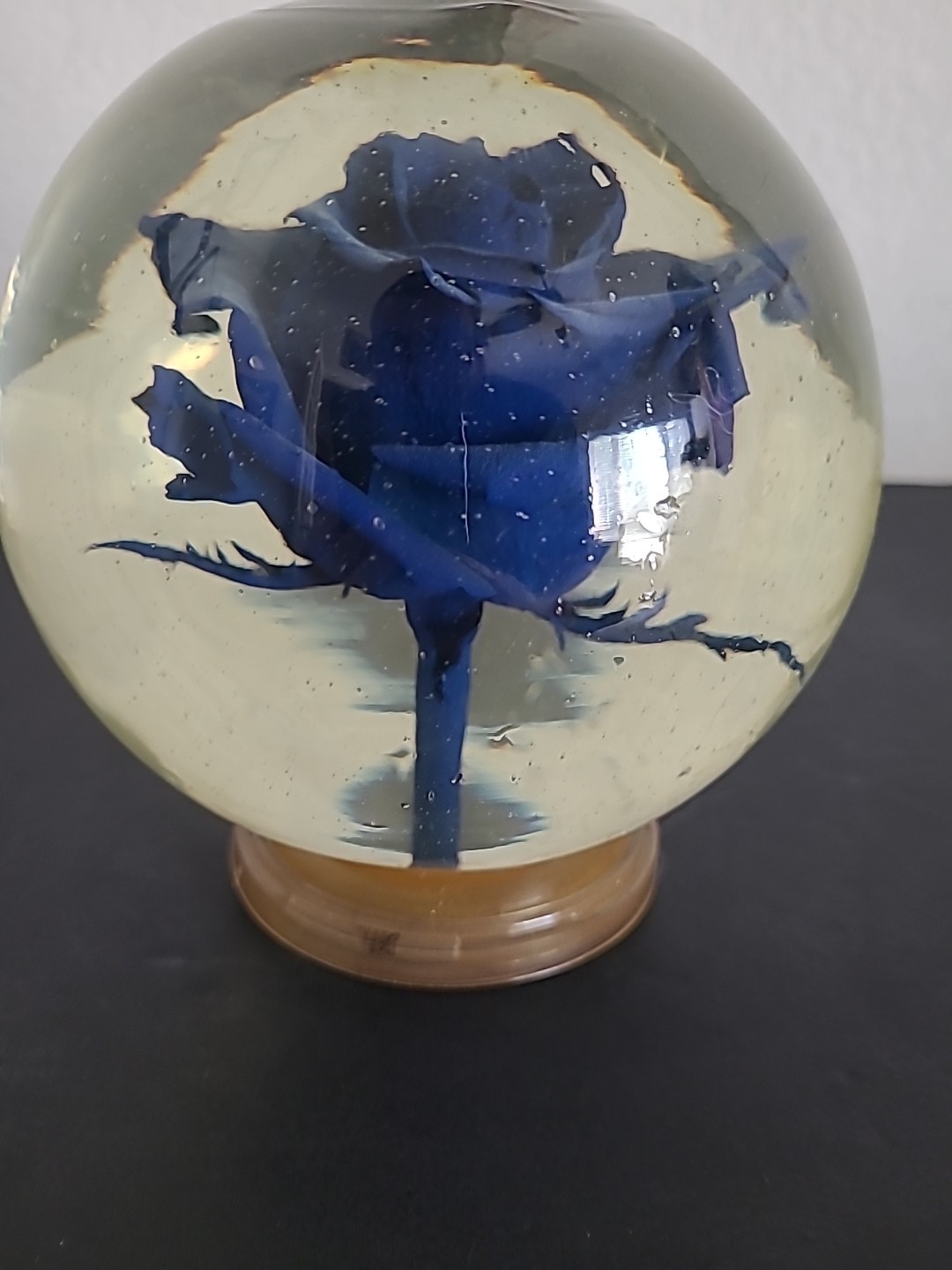 Vintage Blue Crimp Rose Pedestal Preserved In Glass and Liquid Real 4LBS