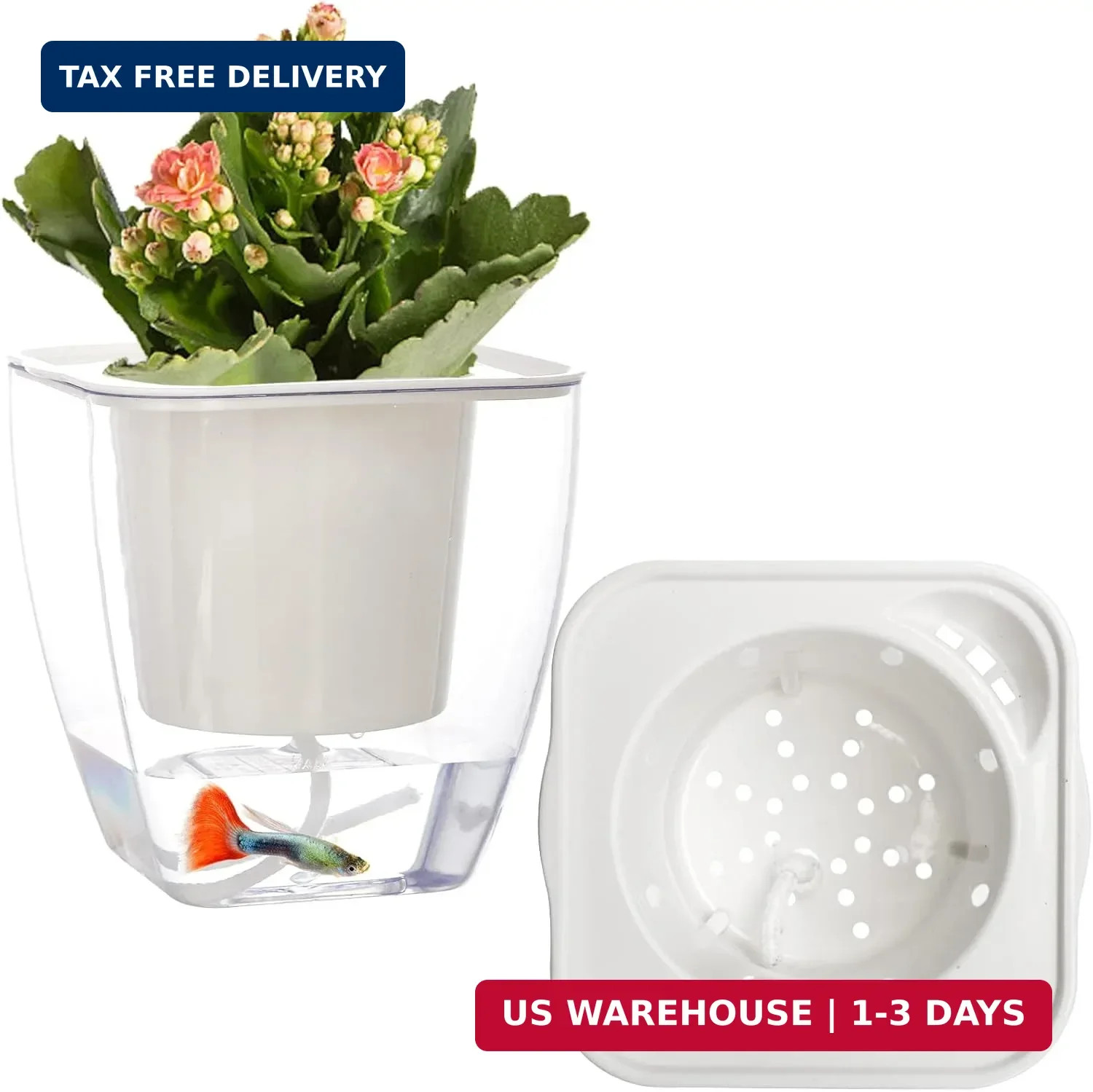 6 Pack Plastic Self Watering Pots, 4 Inch Clear African Violet Pots for Indoor P