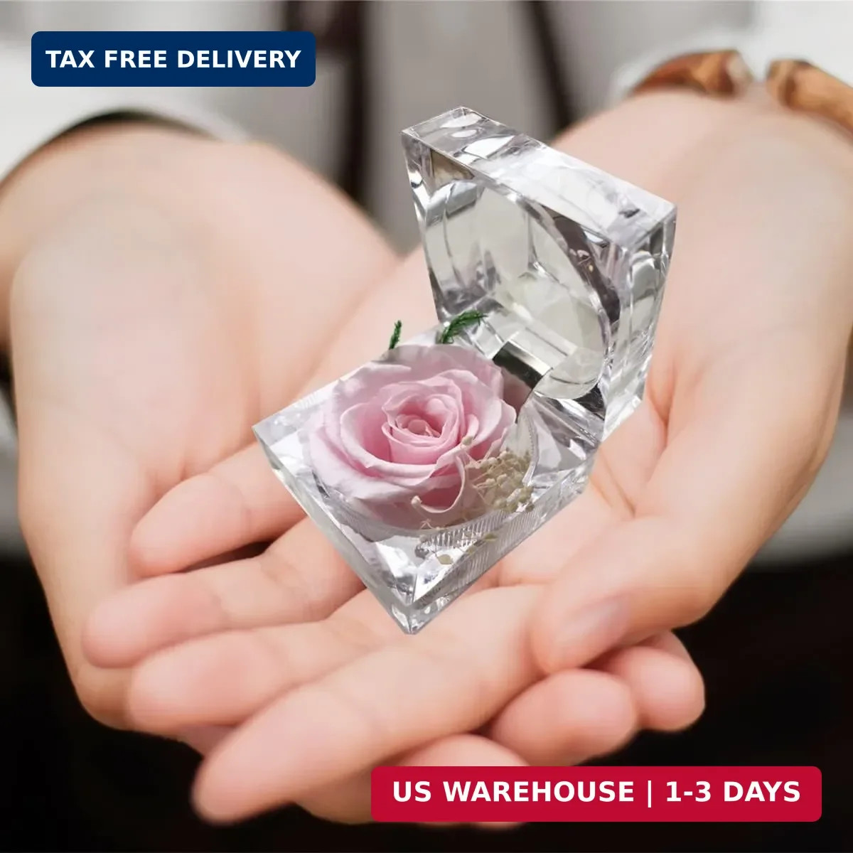 Preserved Rose Real Forever Rose in Mini Clear Ring Box, Eternal Flower Rose Gif