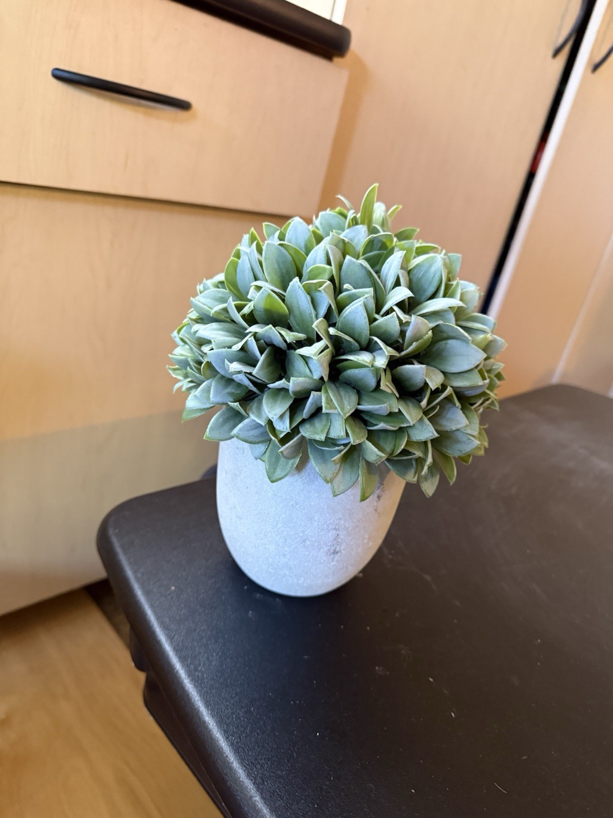 Artificial Boxwood Ball Topiary Green Plastic Floral & Garden Decor in Gray Pot