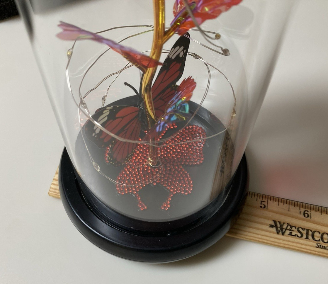 Lighted Flower & Butterfly Display Best Gift For You LED Glass Dome Red Rose New