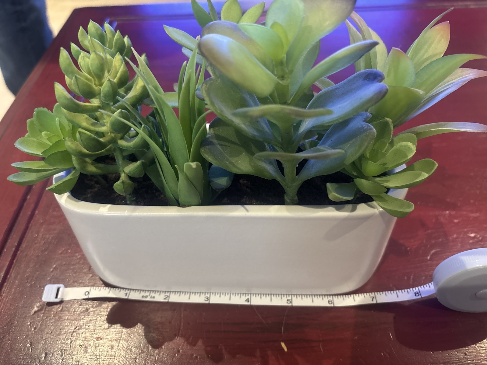 Succulent Plant Artificial