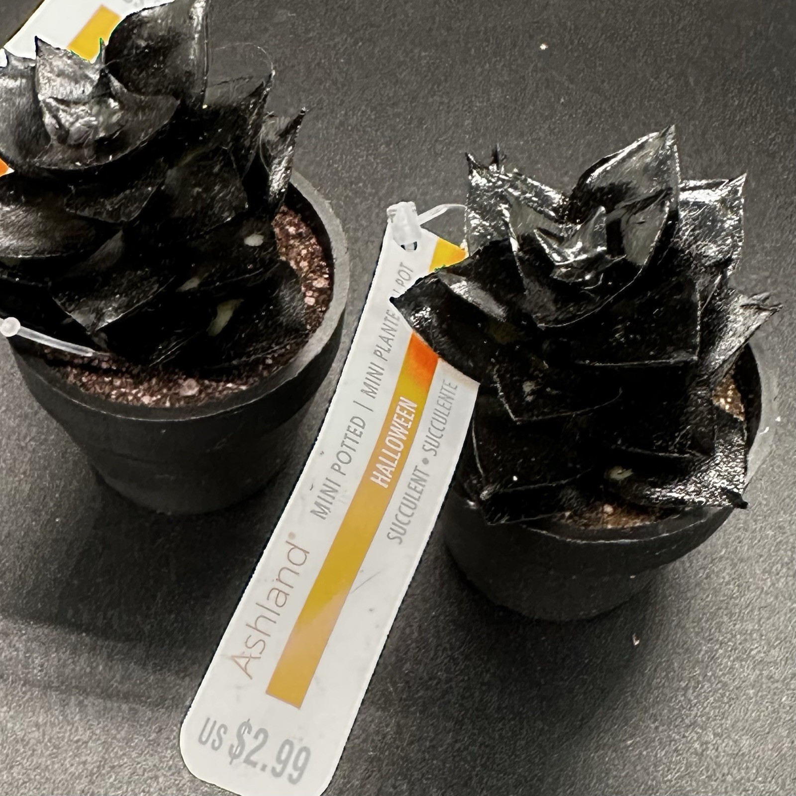 25 Mini Artificial Succulent Plant Lot Potted Black Green Purple Halloween Craft