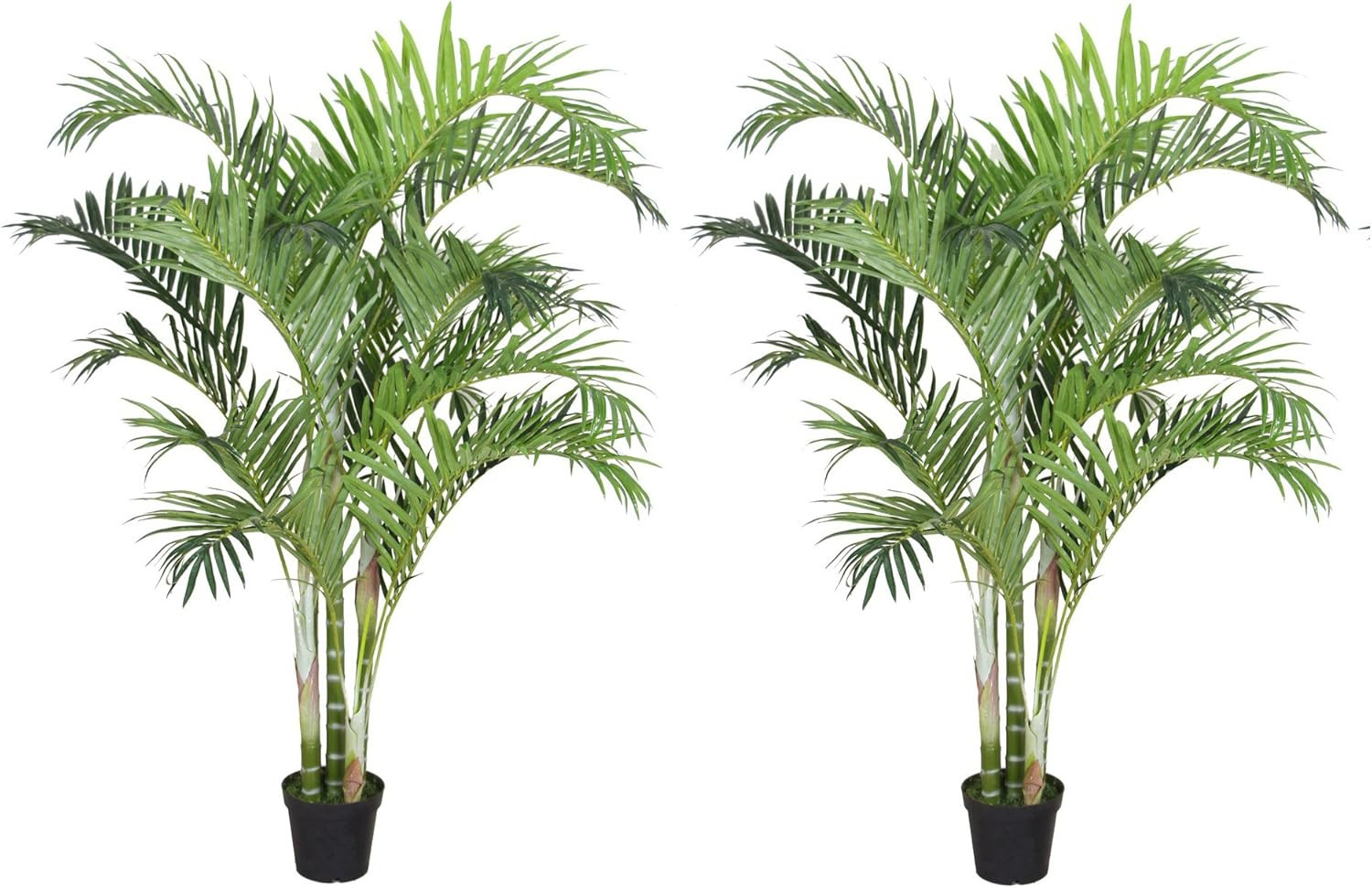 Set of 2 6ft UV-Protected Tropical Palm Trees in Pots – Realistic Design