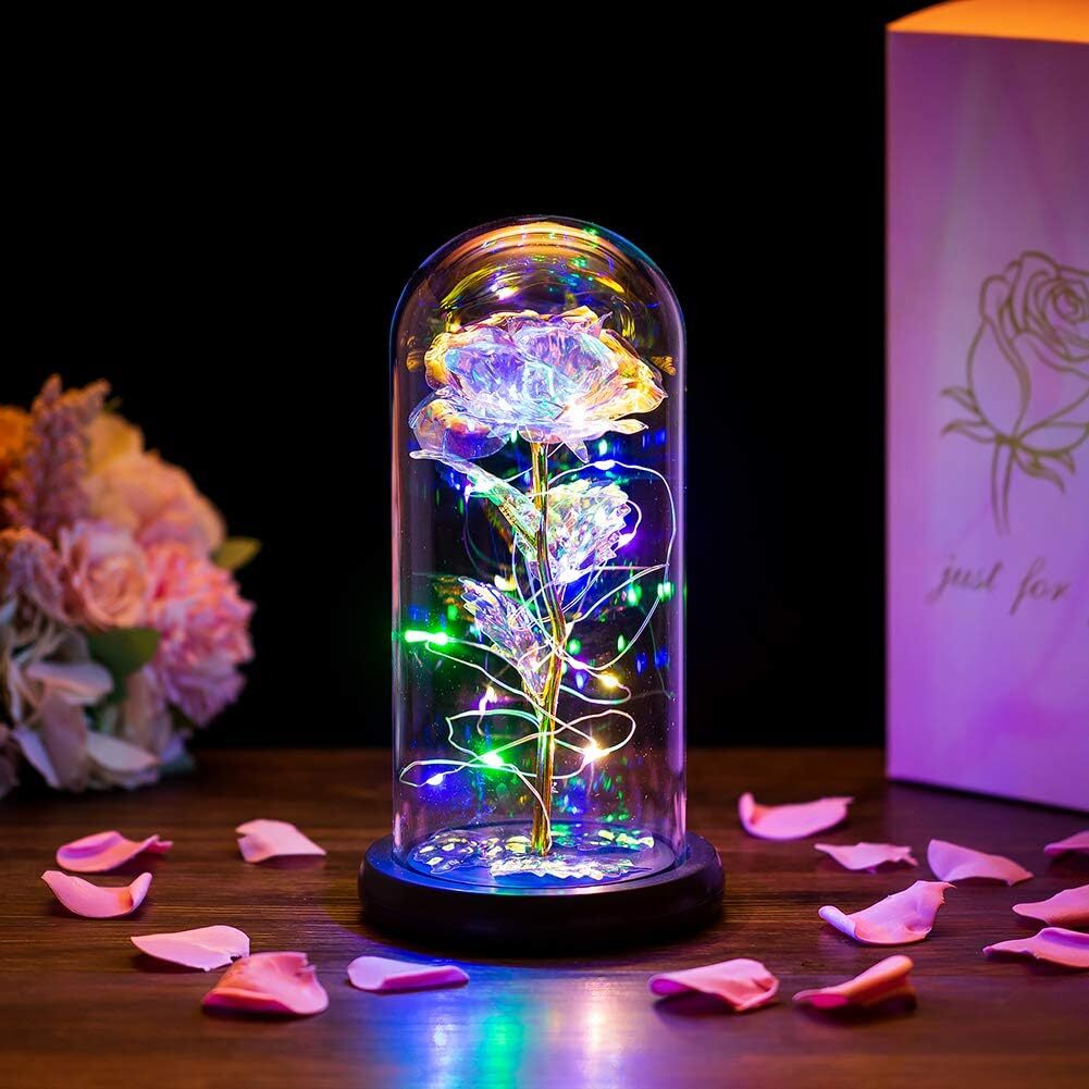 Enchanted Forever Rose Flower In Dome Glass LED Night Light Anniversaries Gift