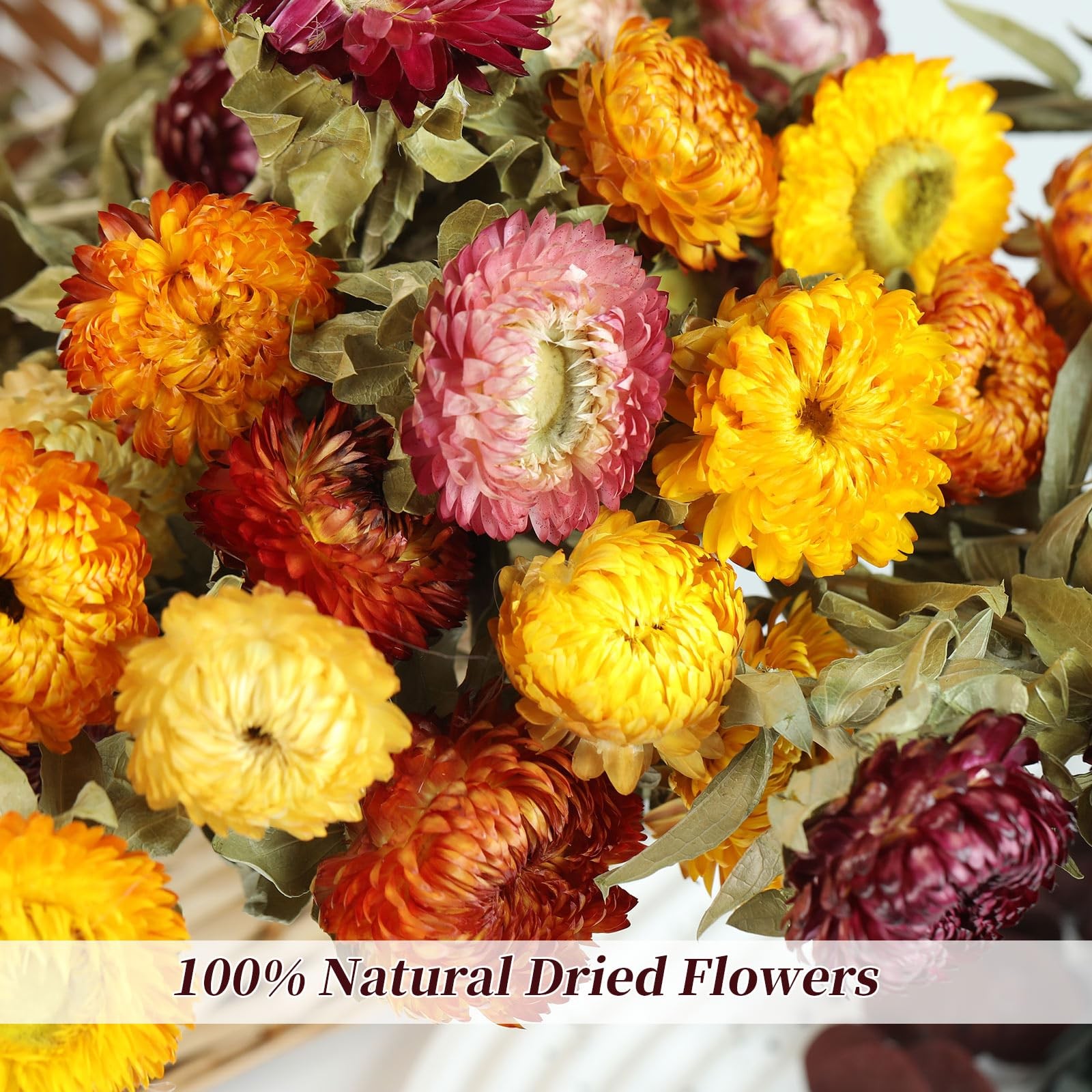 Natural Dried Daisy Flowers Bouquet 20 PCS Multicolor Decor DIY Craft Fall