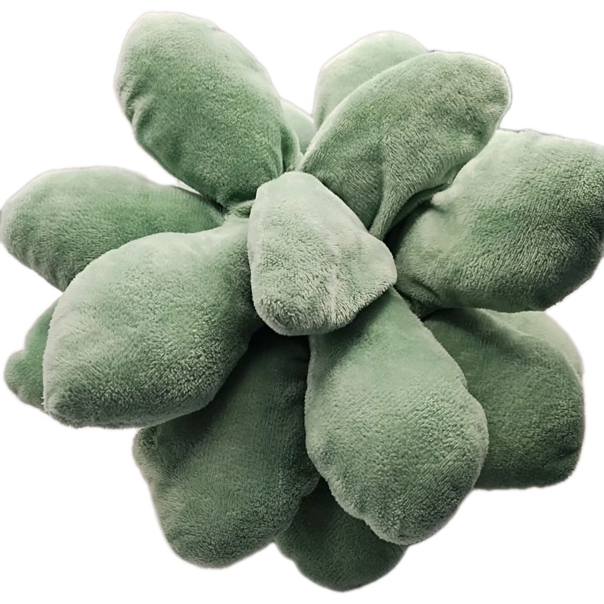 Plush Succulent Plant Med Size