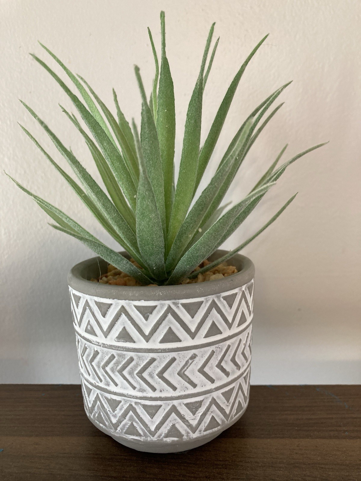 Succulent Tabletop Decor