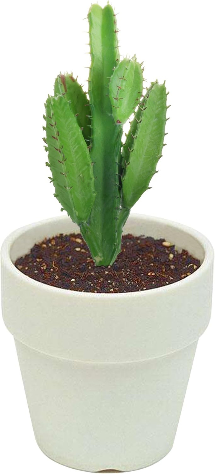Bluecell 2Pcs Real Looking Artificial Cactus Plant DIY Material for Home Decorat