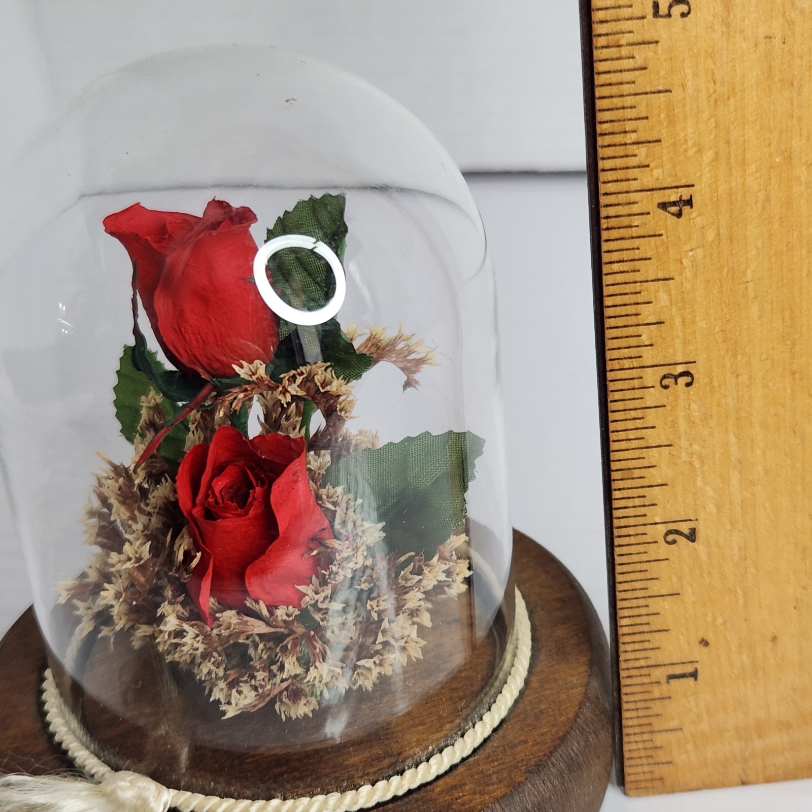 Vintage Real Preserved Red Roses Glass Dome Cloche Wood Base Floral Display