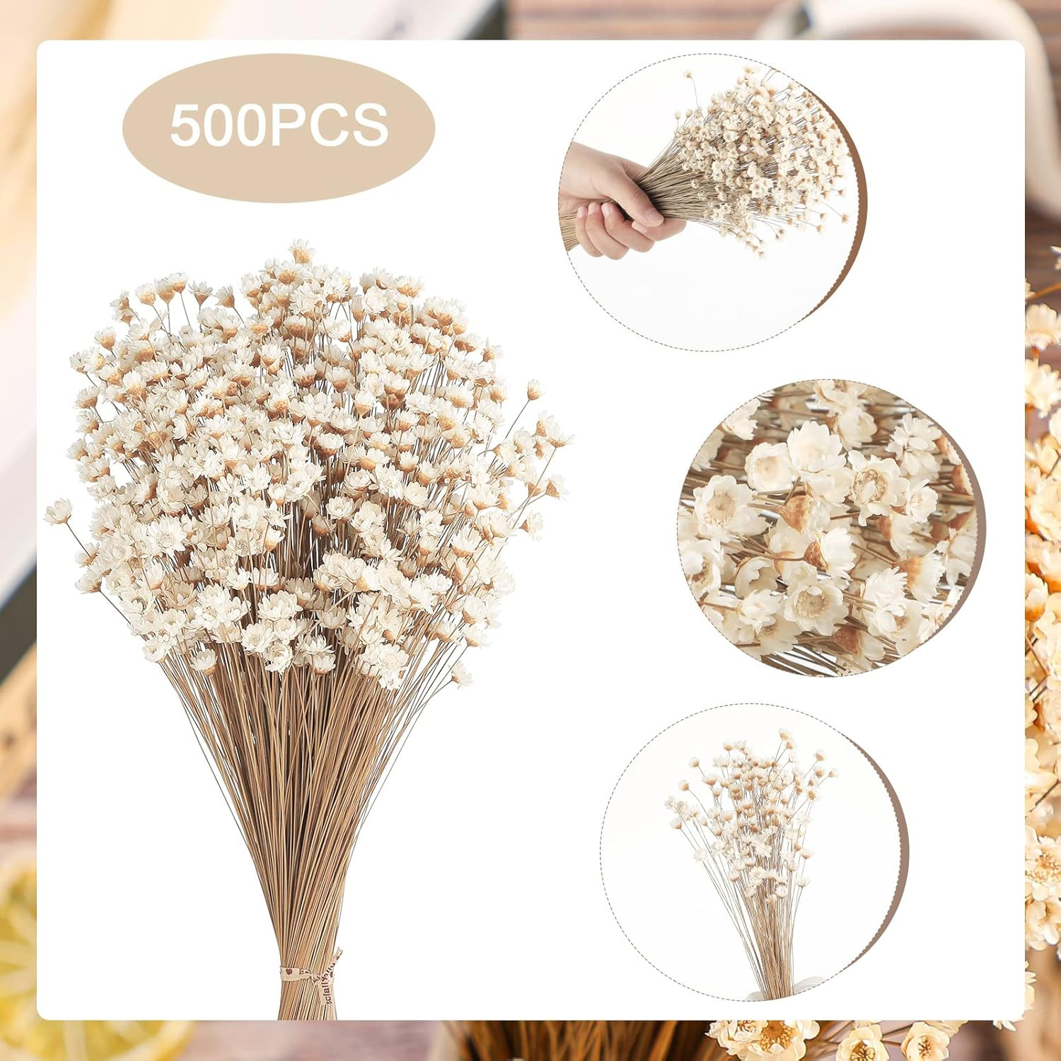 500 Pcs Natural Dry Flowers Mini Chamomile Small Star Daisy Dried Flowers Decora