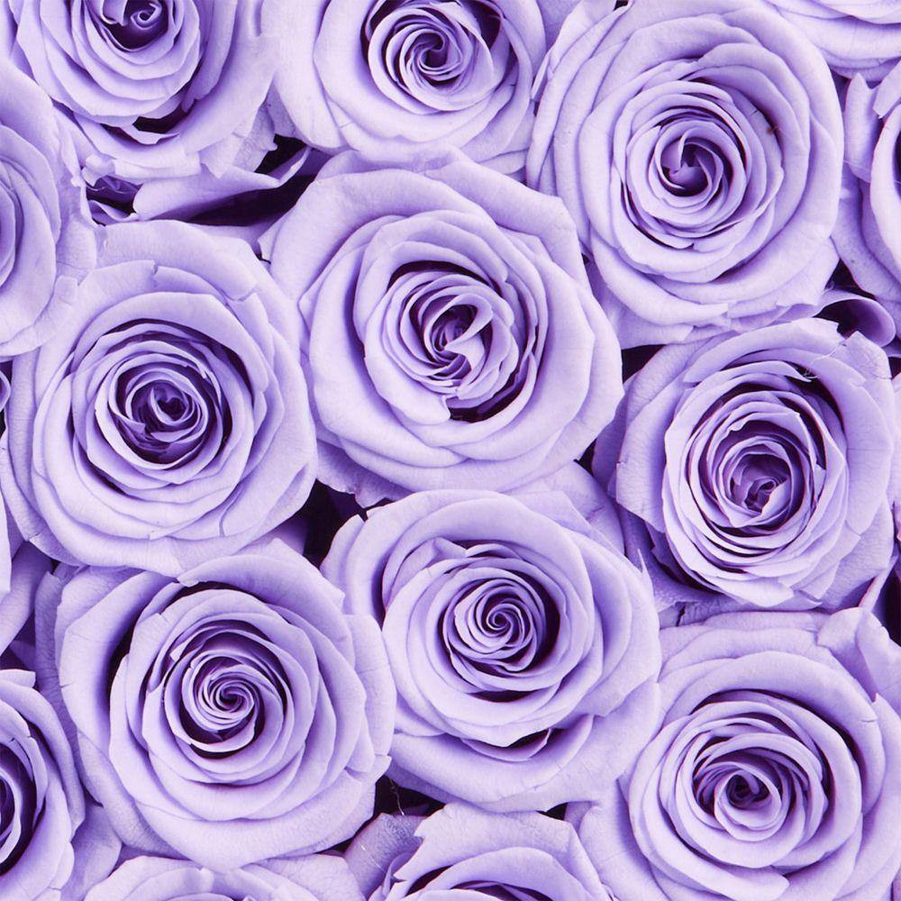 Artificial Forever Flowers 50-Preserved Roses in a Box, 6.5 In. H Eternal Flower