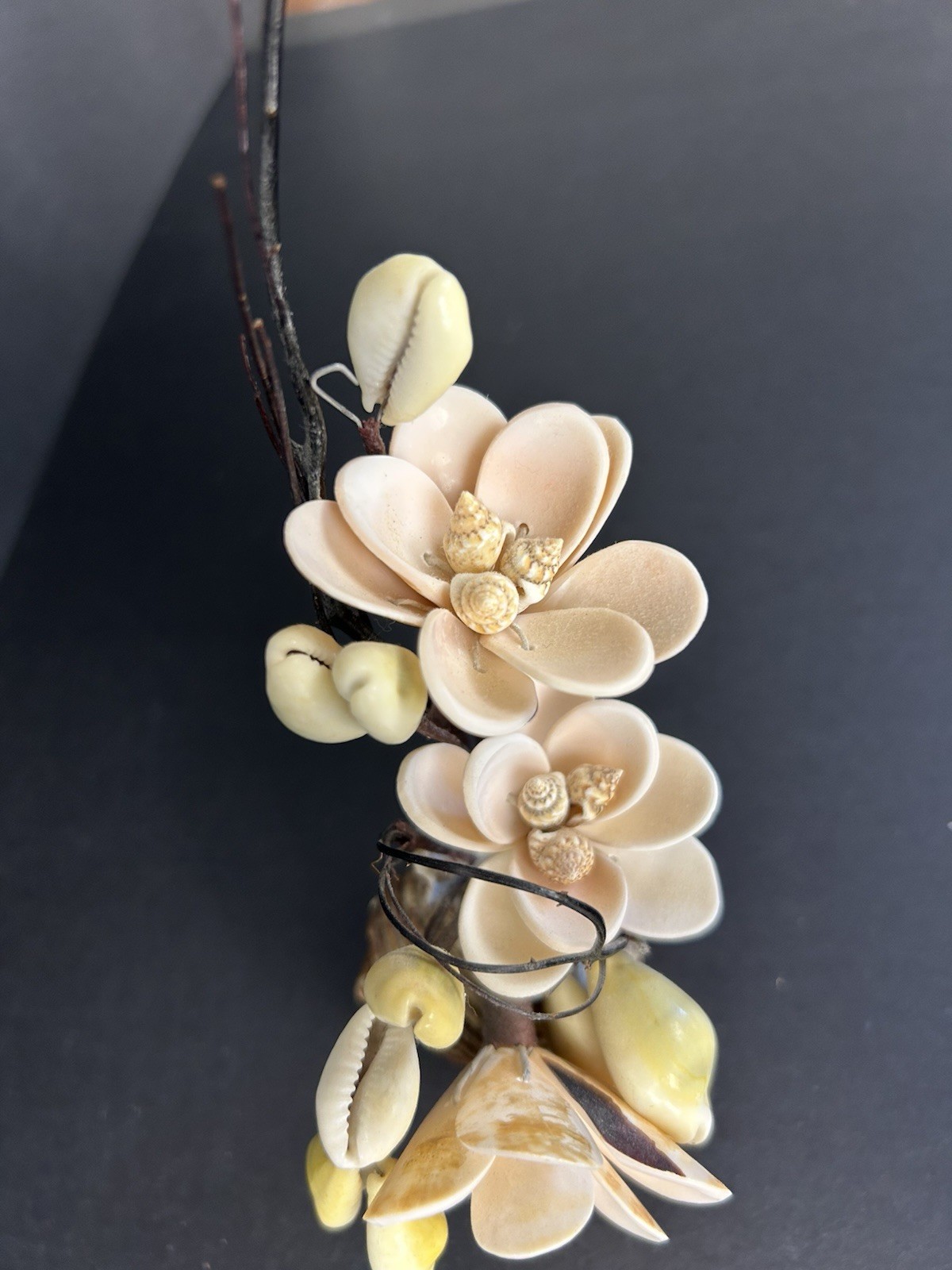 Vintage Cottagecore Kitschy Hand Made Sea Shell Floral Arrangement 6”x4”