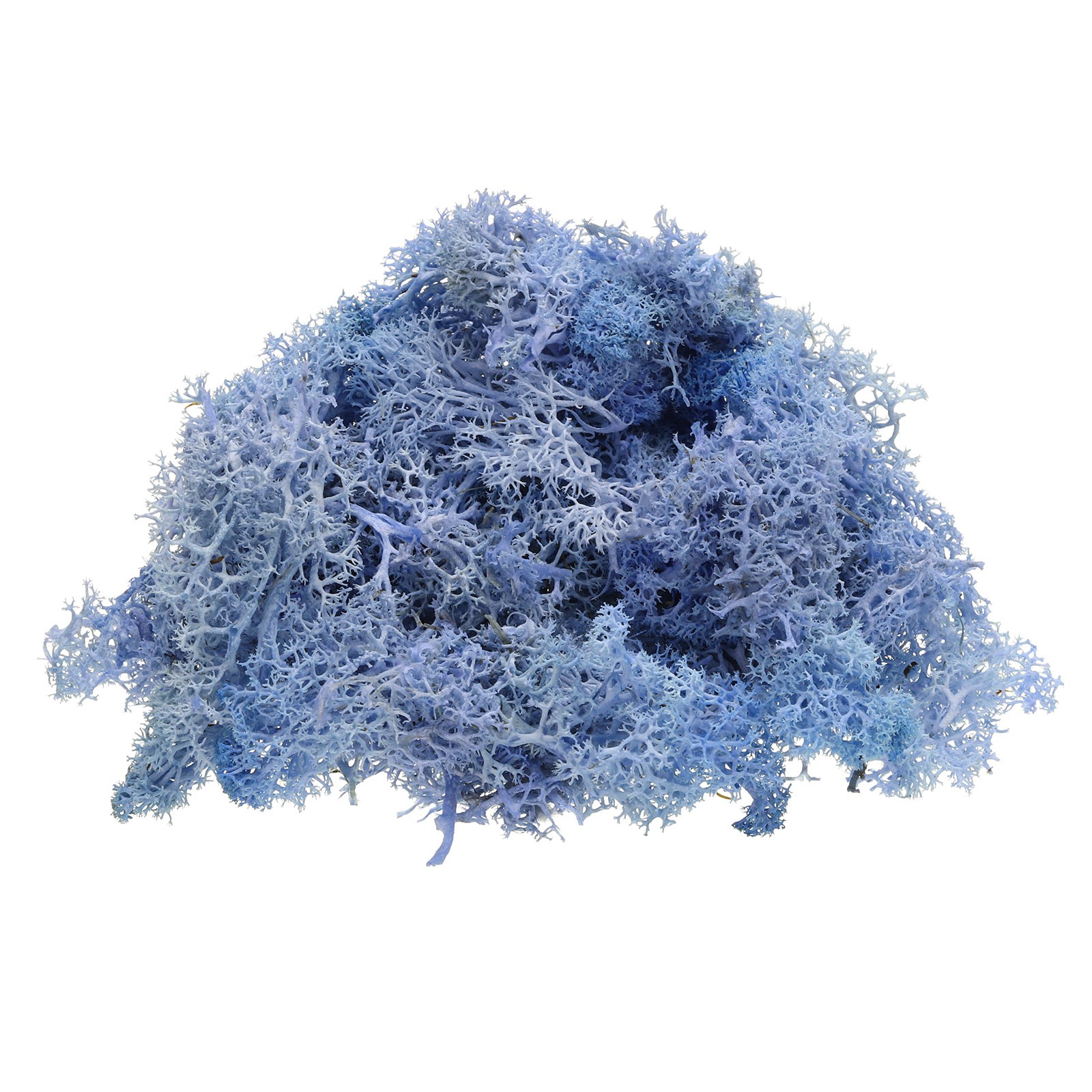 Preserved Reindeer Moss 4 OZ Fake Moss for Crafts (Sky Blue)