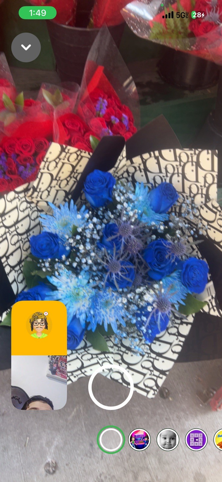 Fresh Blue Rose Flower Bouquet Bunch with White and Green Arrangement