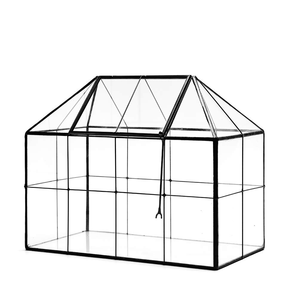 Large Glass Terrarium Planter – Succulent Greenhouse with Lid, 9.8″x7.9″x5.9