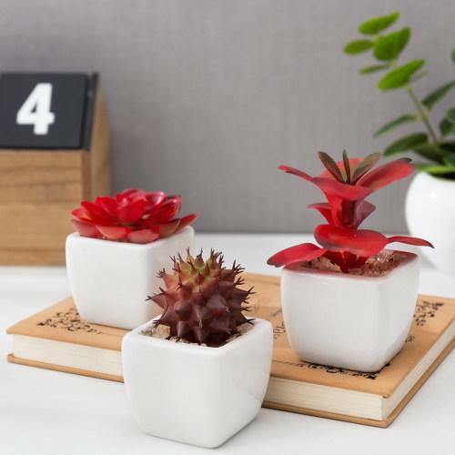 Assorted Artificial Red Succulent Plants, Fake Plants in Square Pots, Set of 3