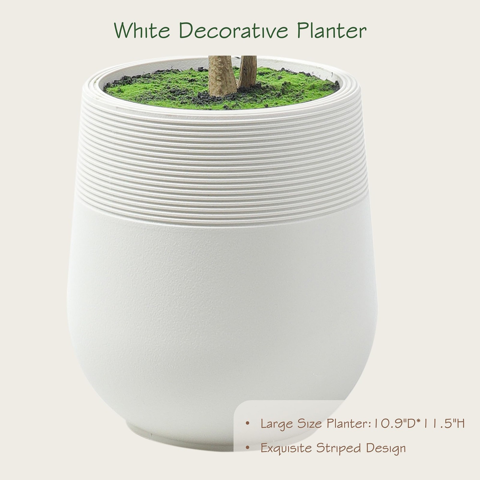 6ft Minimalist Artificial Citrus Tree with Large Exquisite Planter, 72in Faux…