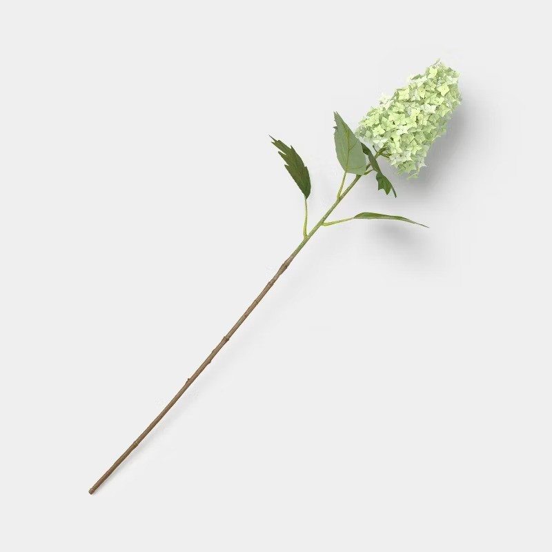 Green Hydrangea Branch